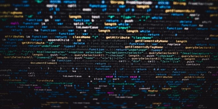 Rows of data.